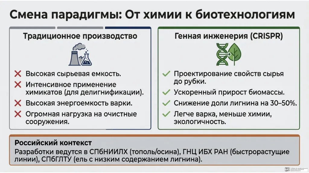 Даиджест 3-9 августа 2026.010.jpeg